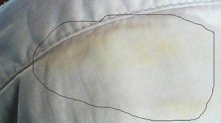 1c6f6502e93d14d284434f.jpg