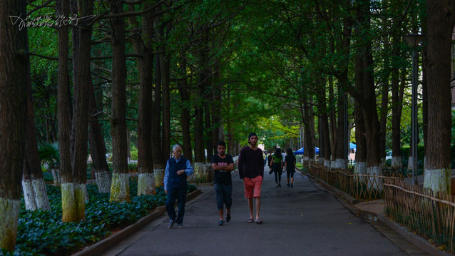 云南大学5.jpg