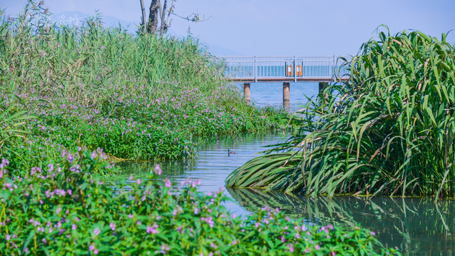 捞鱼河3.jpg