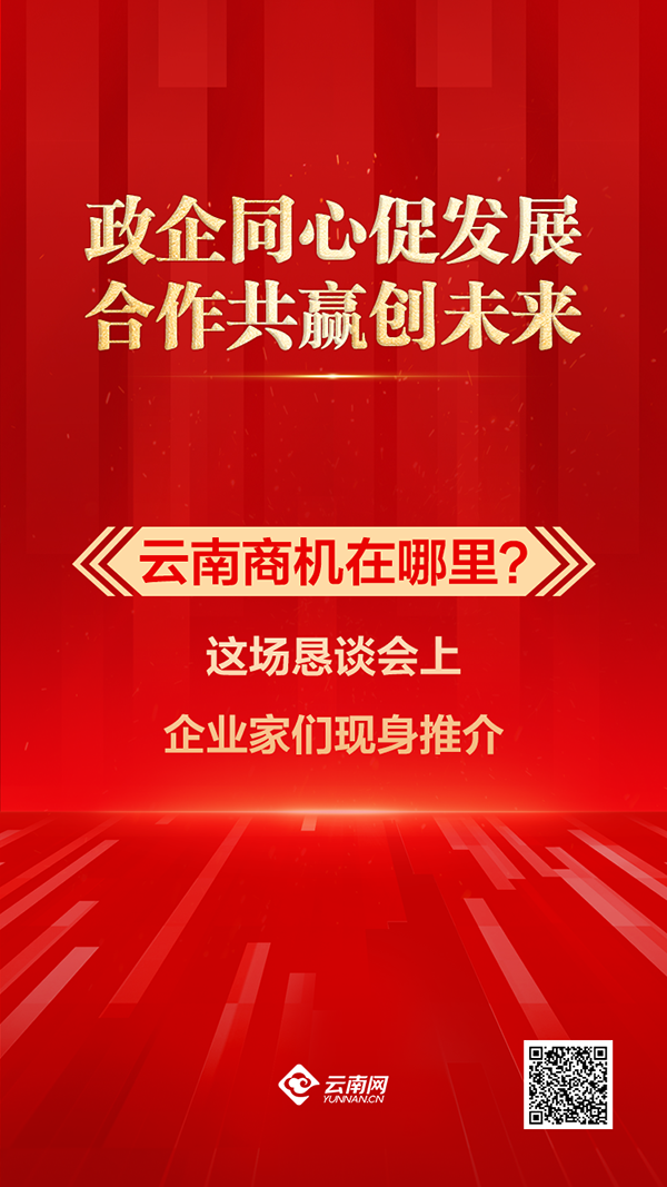 云南商机在哪里？这场恳谈会上企业家们现身推介