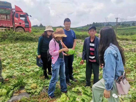 昆明市寻甸县先锋镇四举措全面推动干部回乡规划乡村振兴行动