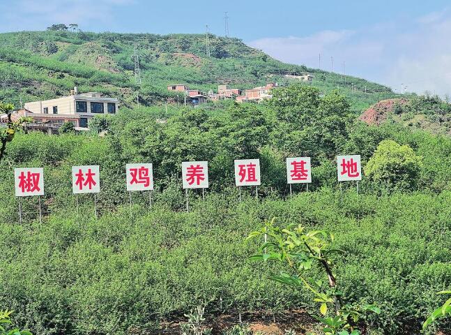 致富频道节目_致富频道是什么频道_致富经频道