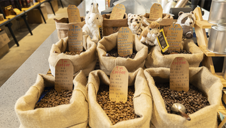 见证全链条金融滴灌普洱咖啡产业 富滇银行举行“咖香普洱——金融赋能特色产业”媒体行